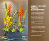 Botanic Harmony Weekly Floral Subscription AOF 14