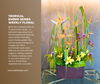 Tropical Ember Series Weekly Floral Subscription AOF 16