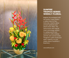 Sunfire Tropics Series Weekly Floral Subscription AOF 17