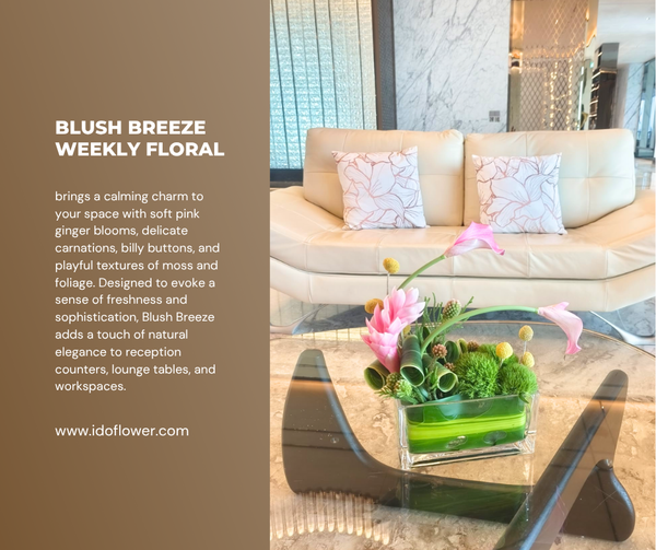 Blush Breeze Weekly Floral Subscription AOF 15