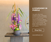 A Symphony in Purple Weekly Floral Subscription AOF 10