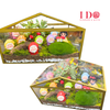 Enchanted Fairy Garden Succulent Terrarium ATF72