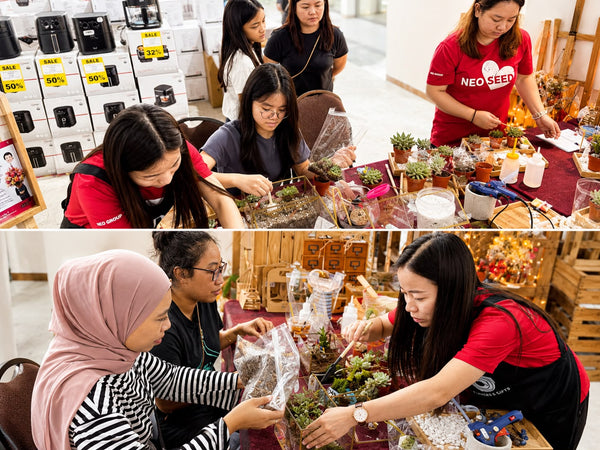 Corporate Terrarium Workshops & Team Bonding AWD18