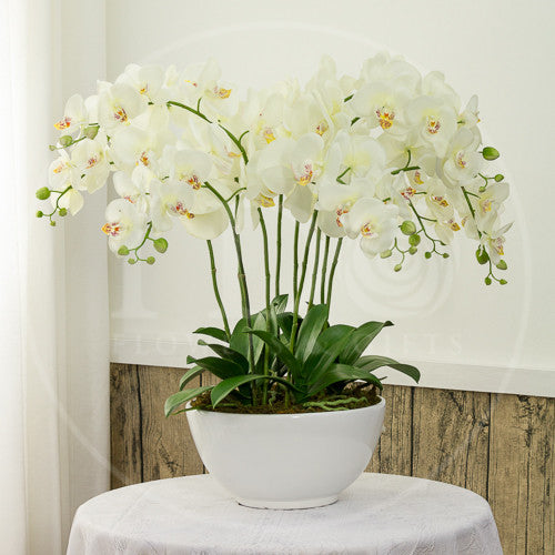 The Joy of Purity Synthetic Flowers AEL 15