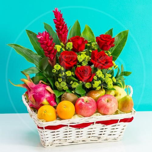 Energy and Vigour AGW08