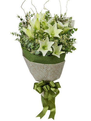 Pureness & Grace AHB35