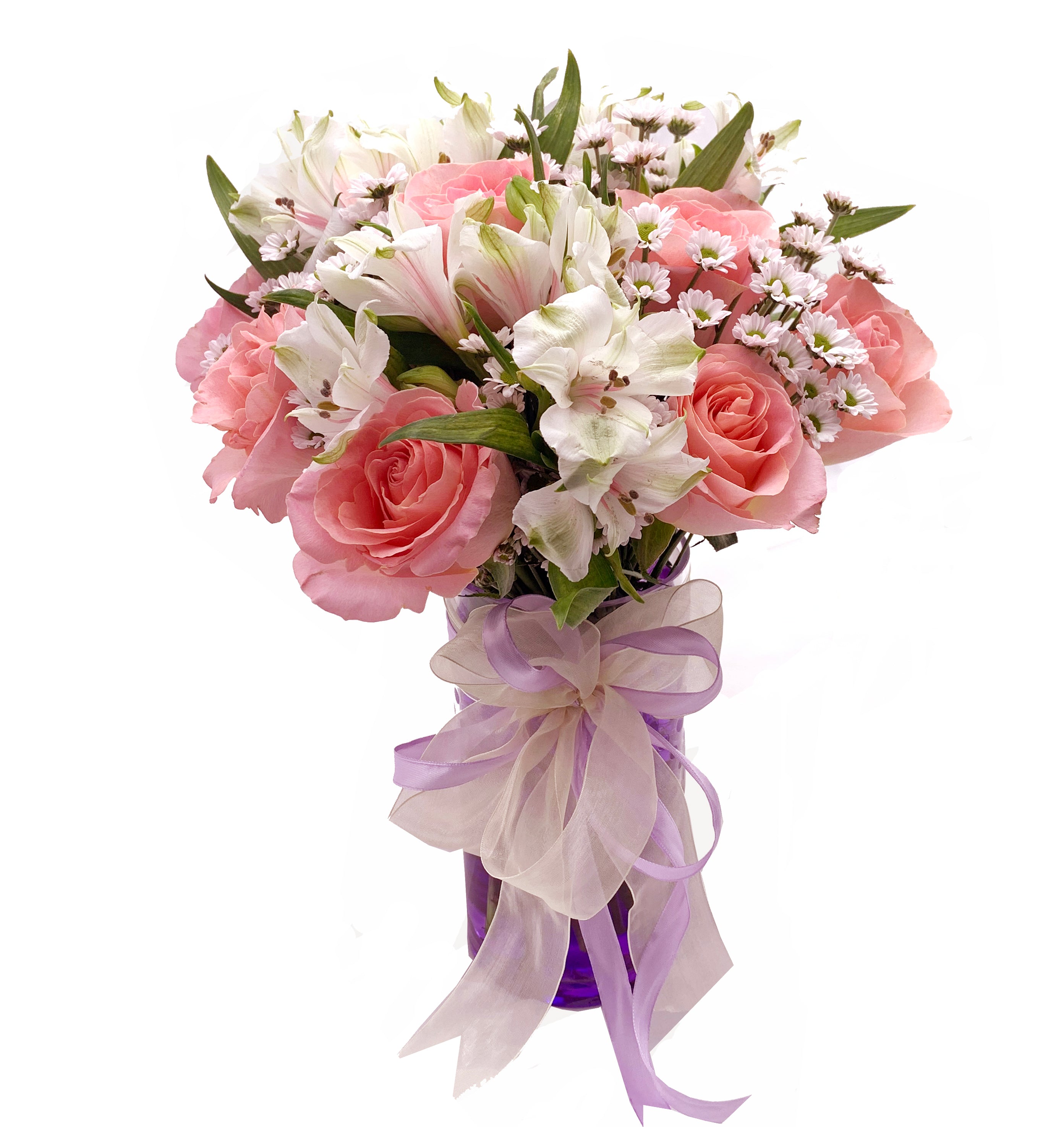 Alstroemeria Beauty  AMD12