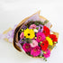 products/AO17_Delightful_Soul.jpg