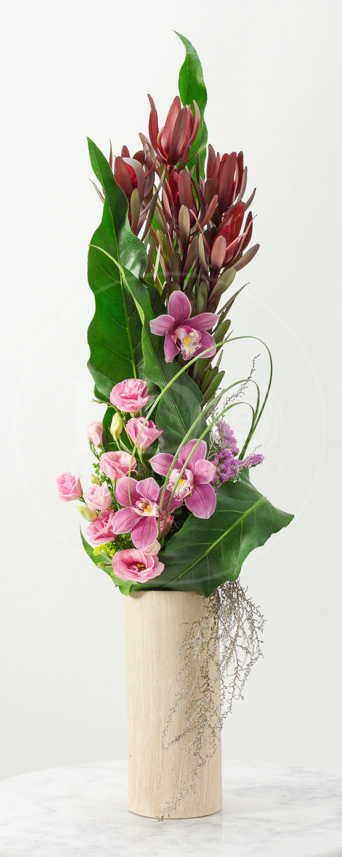 Tasteful Refinement ATF 17