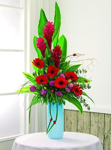 Dignified Beauty ATF 7