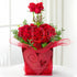 products/Idoflower_All_My_Heart.jpg