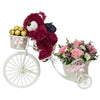 Beautiful Ride ASH24