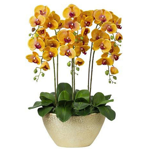 Gold Bloomberg AEL 22