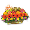 Sunny Paradise AGW33