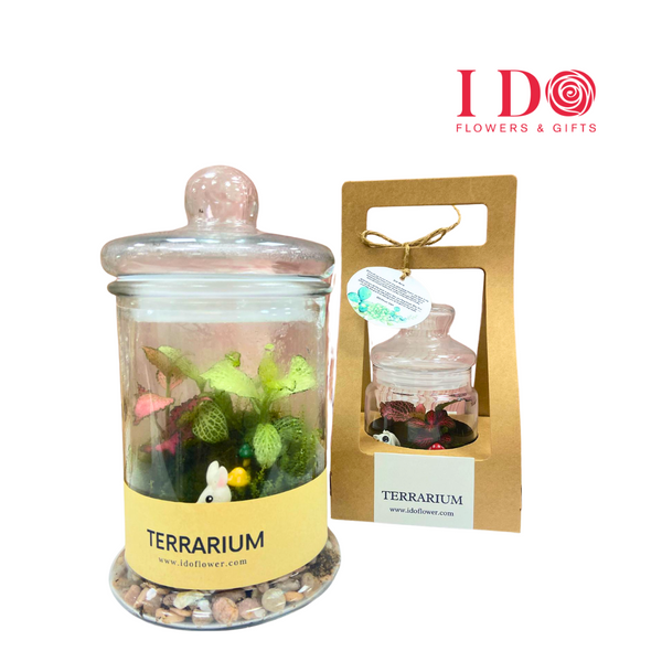 Garden in a Jar ATF50