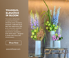 Tranquil Elegance in Bloom Weekly Floral Subscription  AOF 12