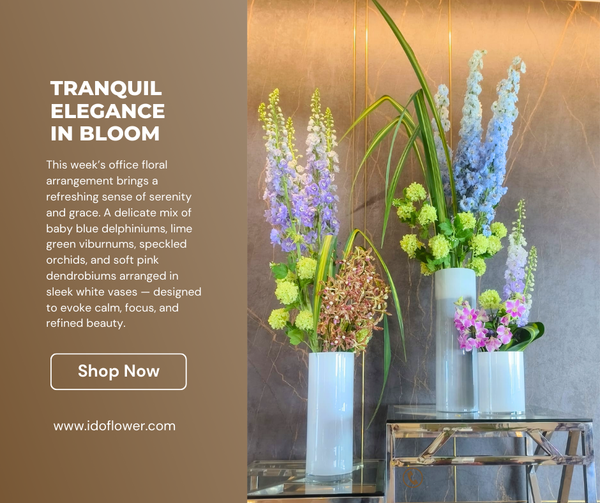 Tranquil Elegance in Bloom Weekly Floral Subscription  AOF 12