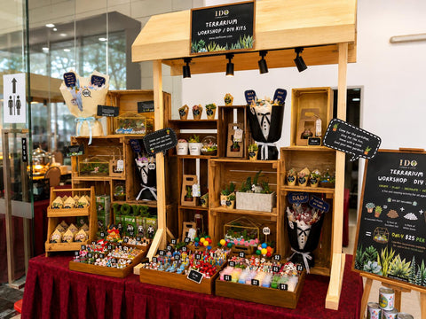 Corporate Terrarium Workshops & Team Bonding AWD18