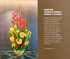 Sunfire Tropics Series Weekly Floral Subscription AOF 17