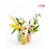 files/3_a4a057d4-070b-49a6-b50f-252c0703bbb1.png