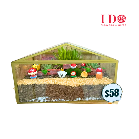 Super Mario Adventure Terrarium ATF68