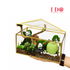 Panda Paradise Terrarium ATF67