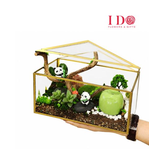 Panda Paradise Terrarium ATF67