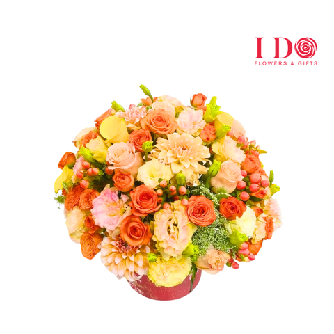 Peach Blossom Radiance ATF 61