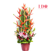 Empire Celebration  Chinese New Year Flower Arrangement GE-09