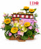 Sunshine Wellness Bird's Nest Floral AGW38
