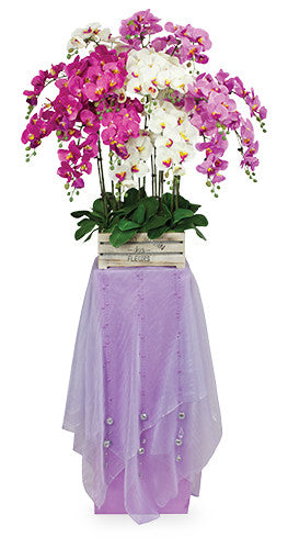 Orchids of Celebration Congratulatory Flower Stand AGP47