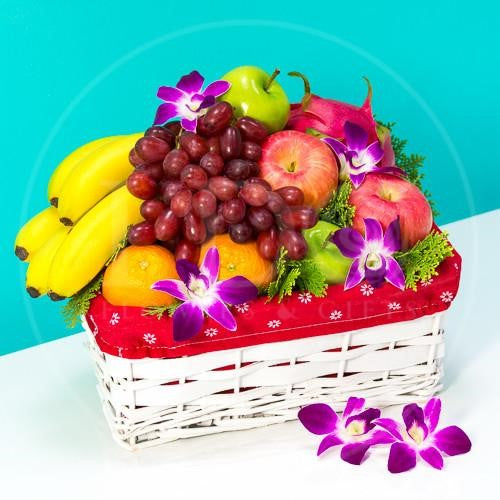 Fruity Paradise AGW04