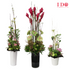 products/OfficeFlowerscollection_10.png
