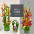 products/OfficeFlowerscollection_3.png