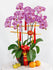 Prosperity Blooms Chinese New Year Arrangement